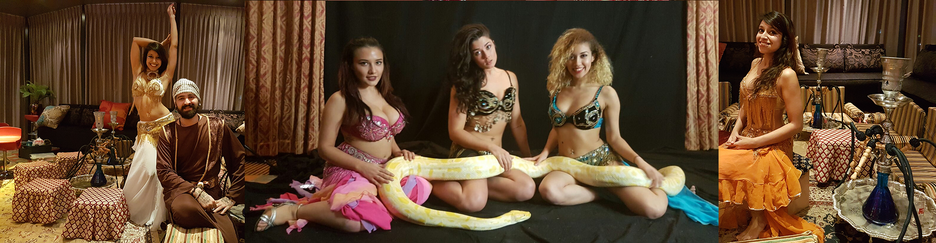 Bellydance for Party