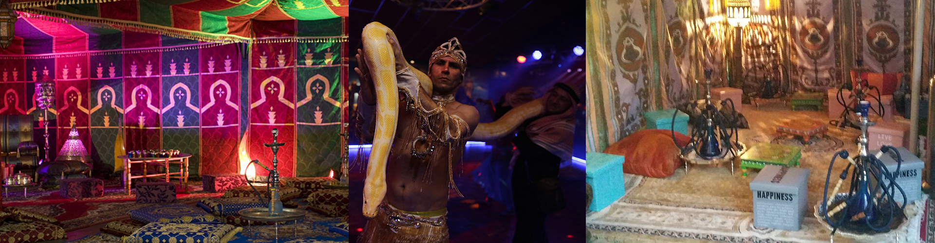 Bellydance Show for weddings